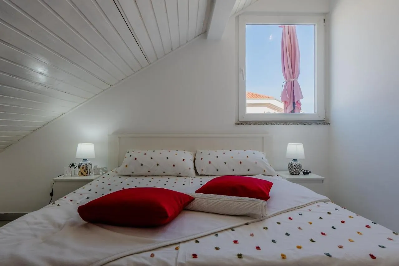 Apartments Violeta Vir Croatia